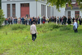 Translocal Performance Art Giswil