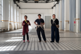 Translocal Performance Art Giswil