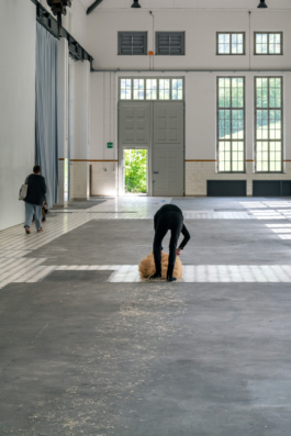 Translocal Performance Art Giswil