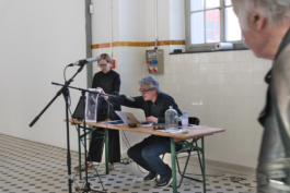 Translocal Performance Art Giswil