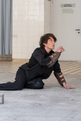Translocal Performance Art Giswil