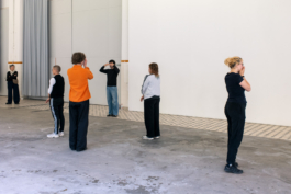 Translocal Performance Art Giswil