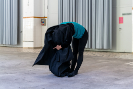 Translocal Performance Art Giswil