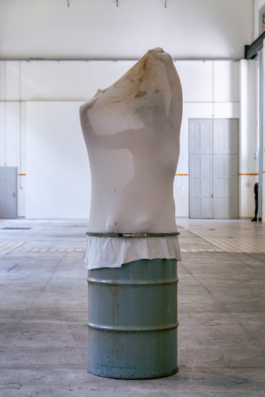 Translocal Performance Art Giswil