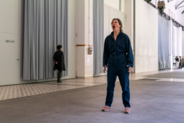 Translocal Performance Art Giswil