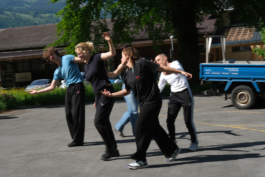 Translocal Performance Art Giswil