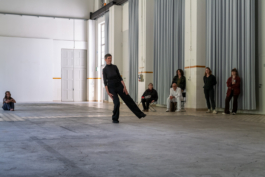 Translocal Performance Art Giswil