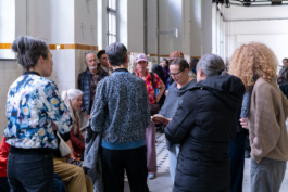 Translocal Performance Art Giswil