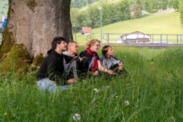 Translocal Performance Art Giswil