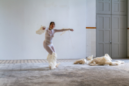 Translocal Performance Art Giswil