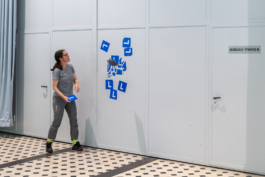 Translocal Performance Art Giswil